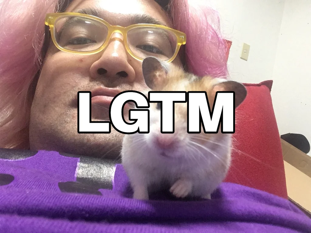 LGTM image (1024×768px)