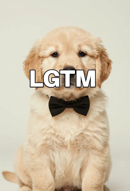 LGTM画像（438×640px）