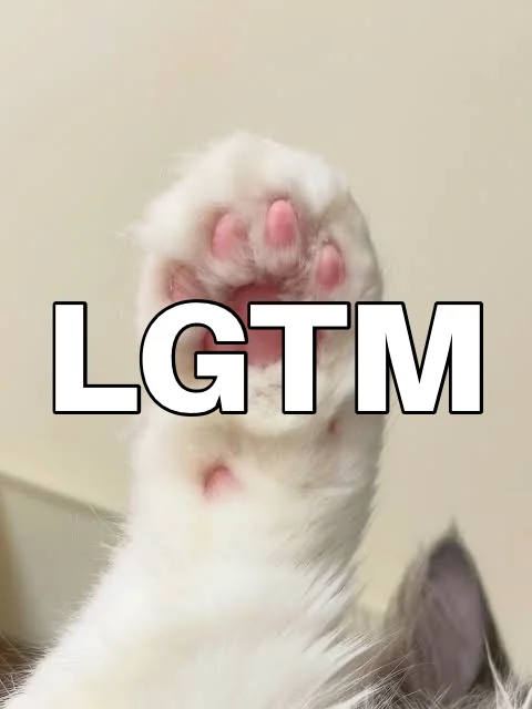 LGTM画像（480×640px）