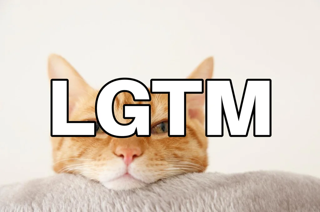 LGTM画像（1024×681px）