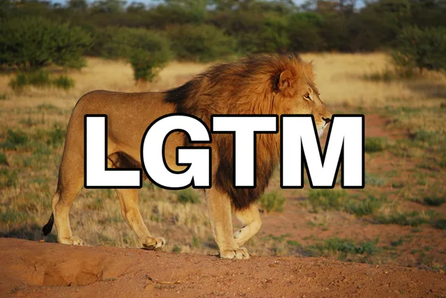 LGTM画像（1024×685px）