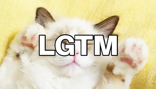 LGTM画像（700×400px）